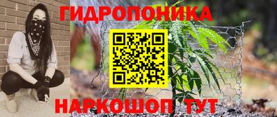 гидропоника Ипатово