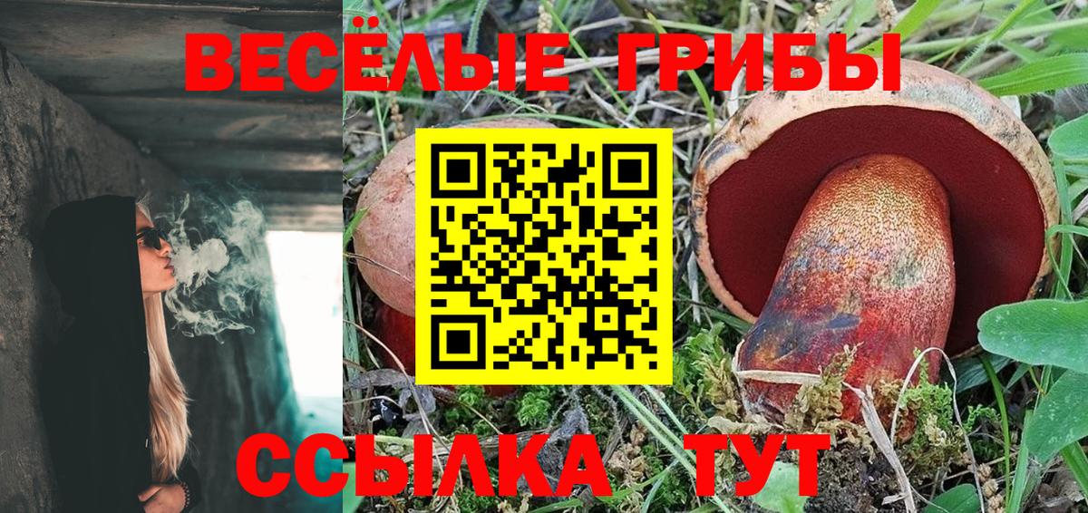 как найти закладки  Вход с VPN  Евпатория  Псилоцибиновые грибы Cubensis 