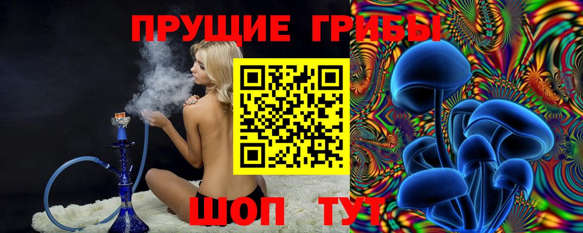 Галлюциногенные грибы мицелий Евпатория