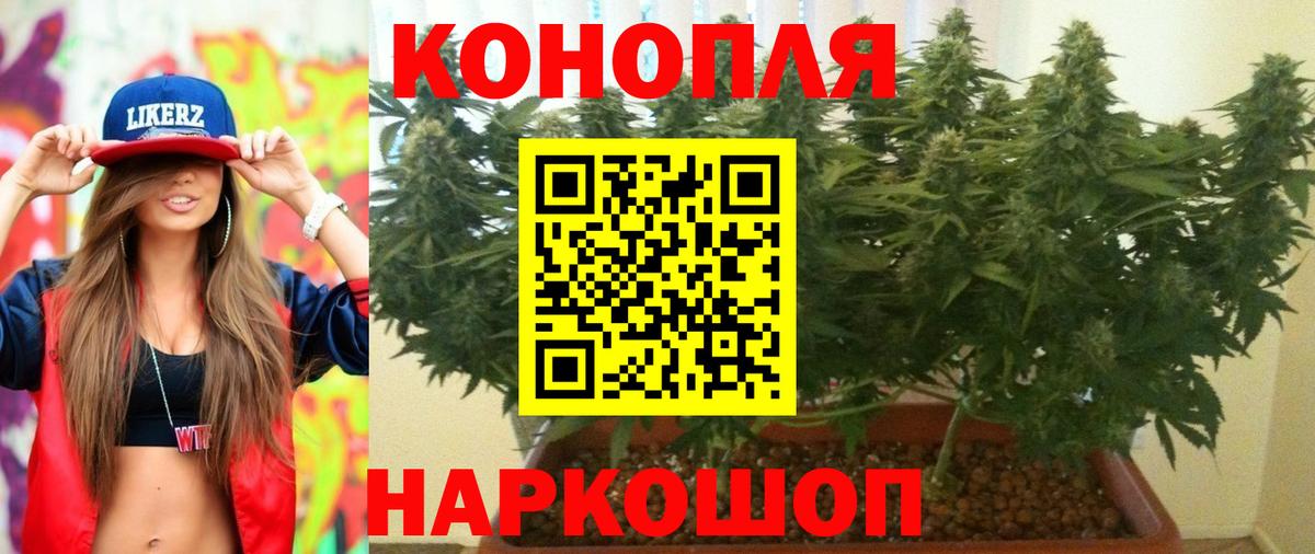 Шишки марихуана сатива  Вход с VPN  Евпатория  Марихуана LSD WEED  Конопля планчик 